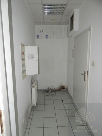 Lokal Wynajem Szczecin Centrum