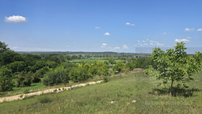Działka Sprzedaż Radziszewo Liliowa