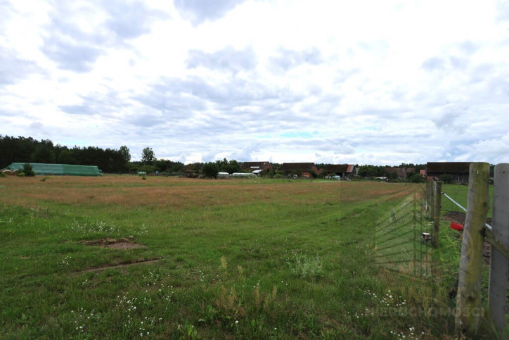 Działka Sprzedaż Wierzchosław 4