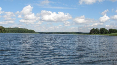 Działka Sprzedaż Dąbrowica