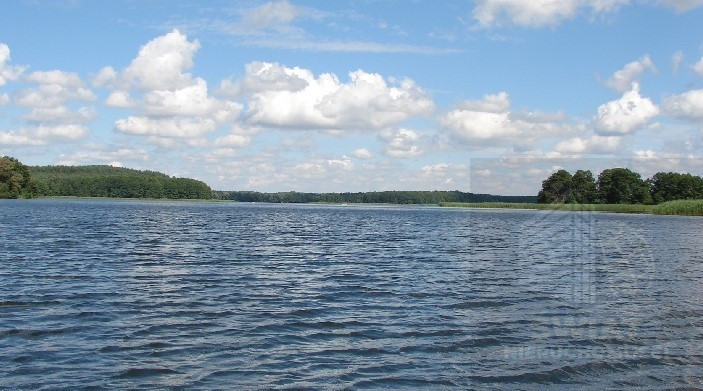 Działka Sprzedaż Dąbrowica 1