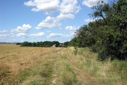 Działka Sprzedaż Barnisław
