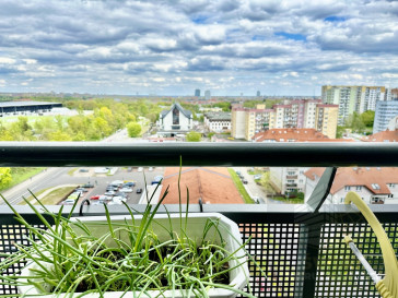 Mieszkanie Wynajem Szczecin Centrum Santocka
