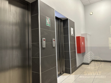 Mieszkanie Wynajem Szczecin Centrum Santocka