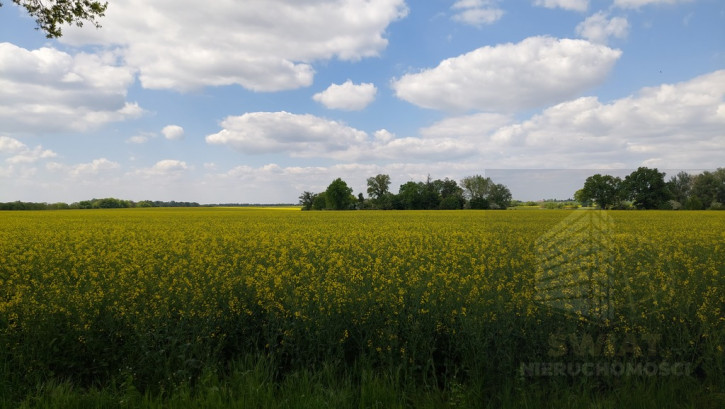 Działka Sprzedaż Mielno 2