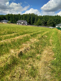 Działka Sprzedaż Grzepnica