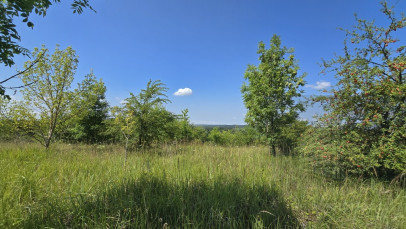 Działka Sprzedaż Radziszewo Liliowa