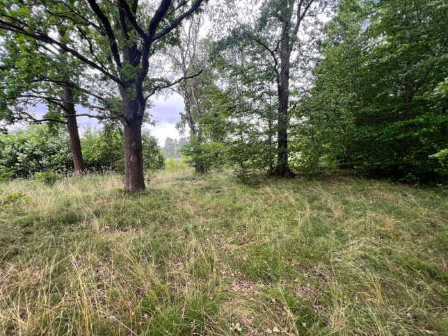 Działka Sprzedaż Storkowo 1
