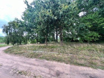 Działka Sprzedaż Storkowo