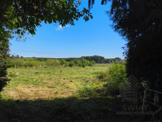 Dom Sprzedaż Sowno 18