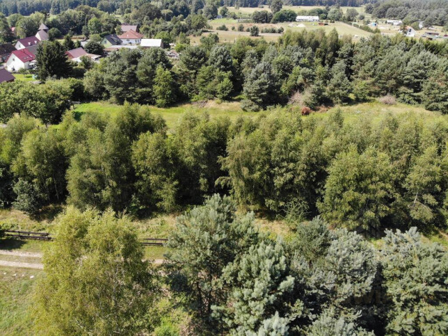 Działka Sprzedaż Dzisna 4