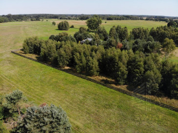 Działka Sprzedaż Dzisna