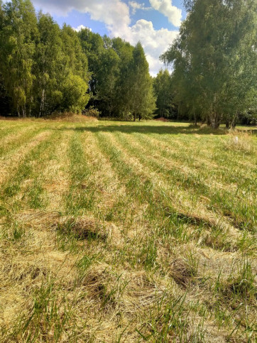 Działka Sprzedaż Grzepnica 1