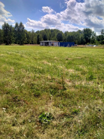 Działka Sprzedaż Grzepnica