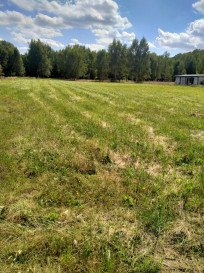 Działka Sprzedaż Grzepnica
