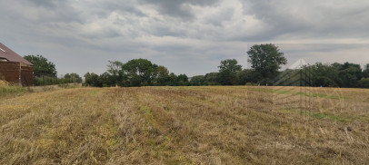Działka Sprzedaż Barnisław