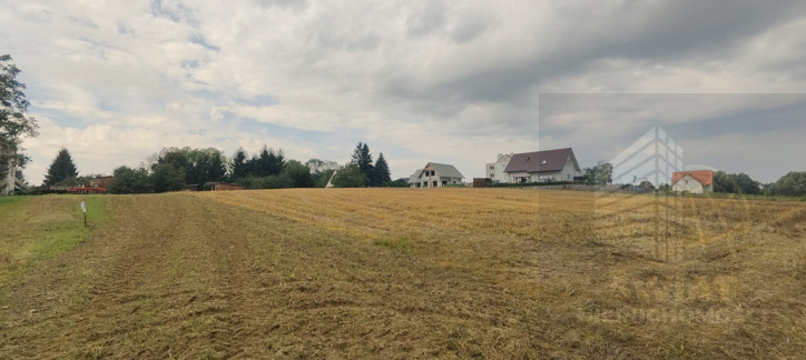 Działka Sprzedaż Barnisław 4