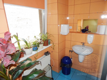 Lokal Wynajem Szczecin Śródmieście-Centrum