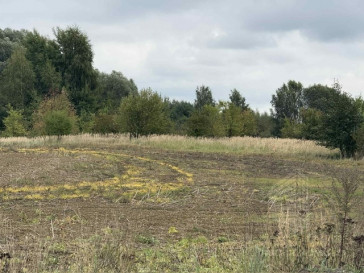 Działka Sprzedaż Stara Dąbrowa