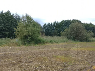 Działka Sprzedaż Stara Dąbrowa