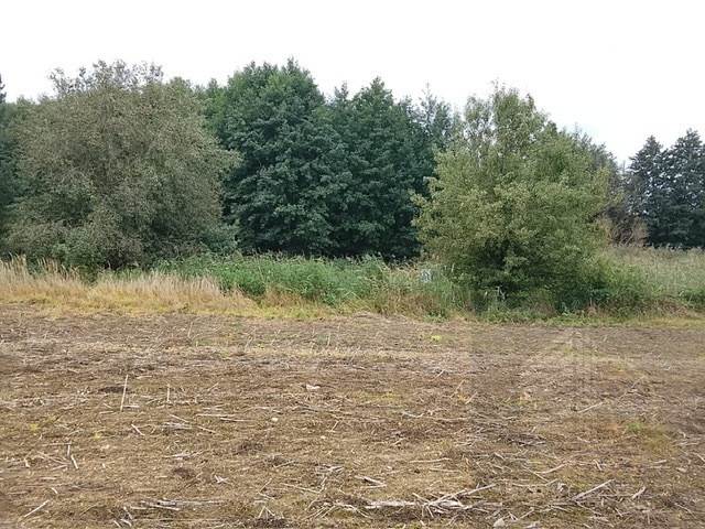 Działka Sprzedaż Stara Dąbrowa 14