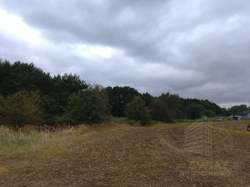 Działka Sprzedaż Stara Dąbrowa
