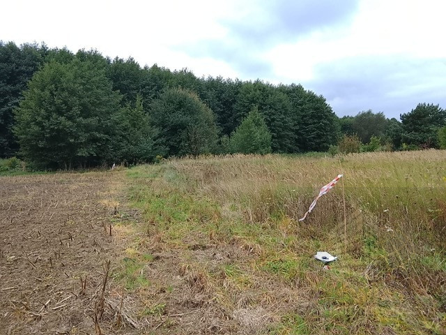 Działka Sprzedaż Stara Dąbrowa 18
