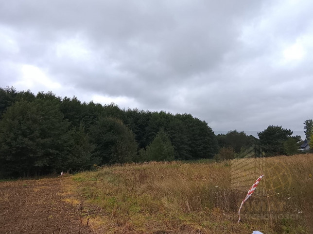 Działka Sprzedaż Stara Dąbrowa 21