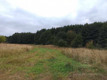 Działka Sprzedaż Stara Dąbrowa