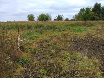 Działka Sprzedaż Stara Dąbrowa