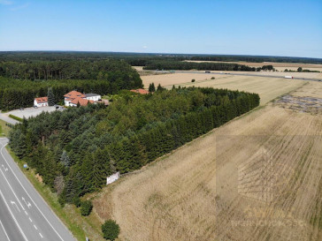 Działka Sprzedaż Kikorze