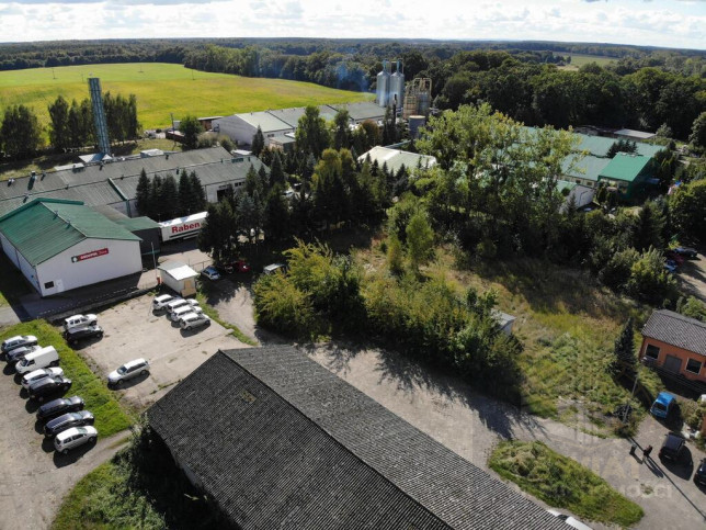 Działka Sprzedaż Osina 4