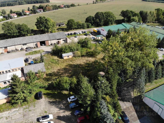 Działka Sprzedaż Osina 8