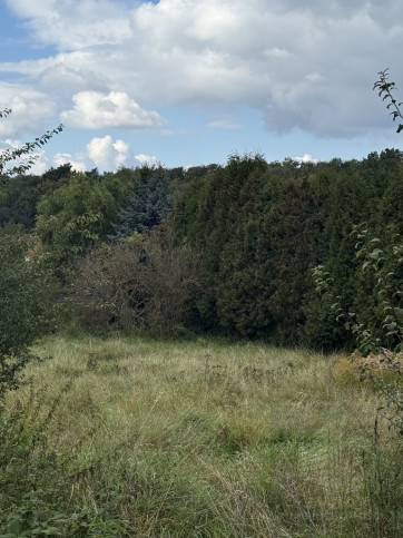 Działka Sprzedaż Szczecin Pilchowo 1