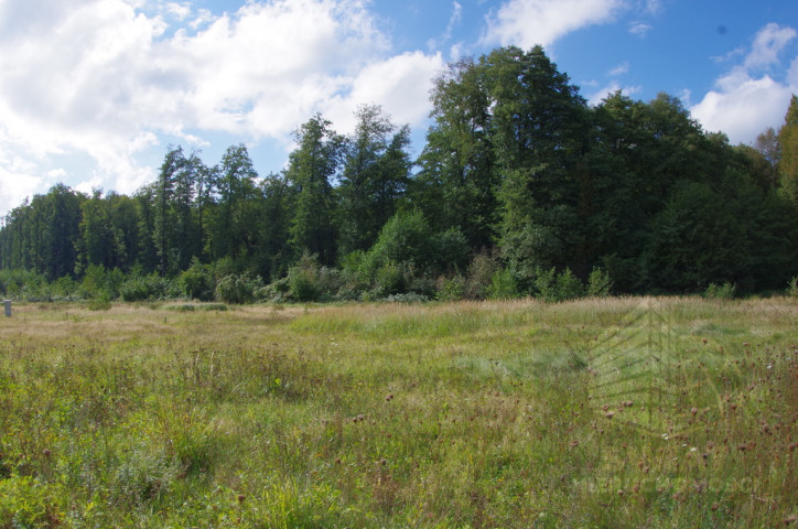 Działka Sprzedaż Jatki 7