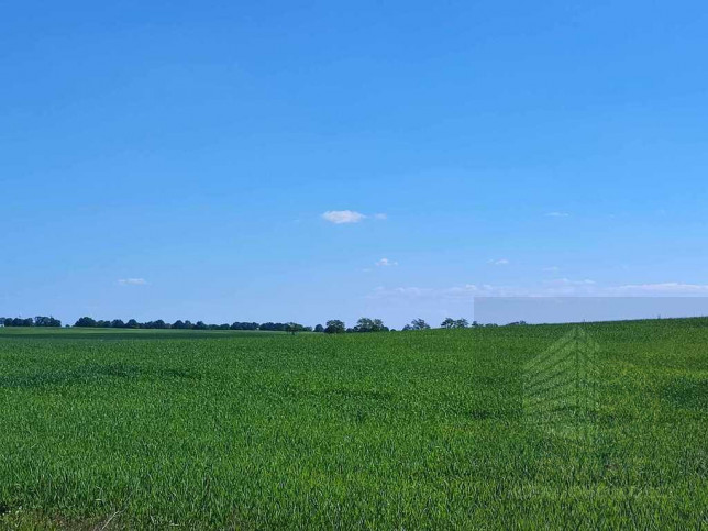 Działka Sprzedaż Grabowo 9