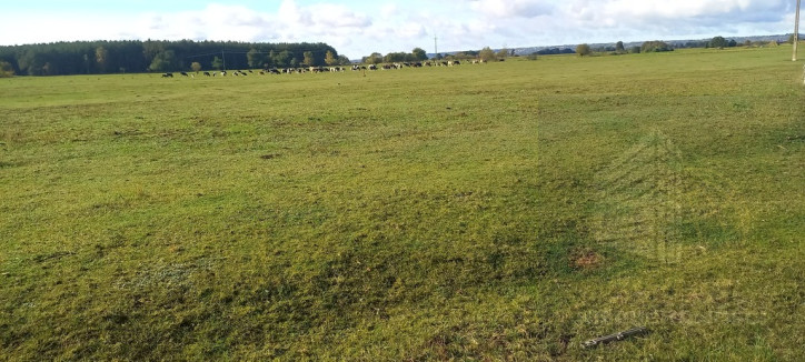 Działka Sprzedaż Borzysławiec 3