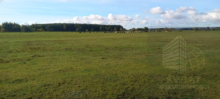 Działka Sprzedaż Borzysławiec 4