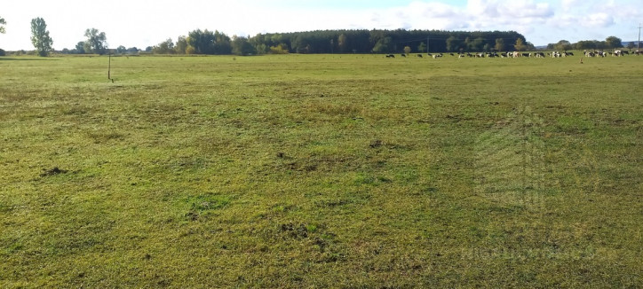Działka Sprzedaż Borzysławiec 5