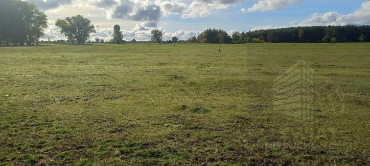 Działka Sprzedaż Borzysławiec 8