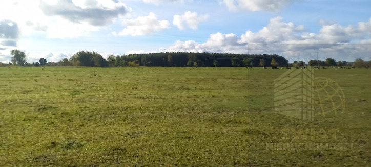 Działka Sprzedaż Borzysławiec 1