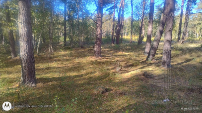 Działka Sprzedaż Dziwnów