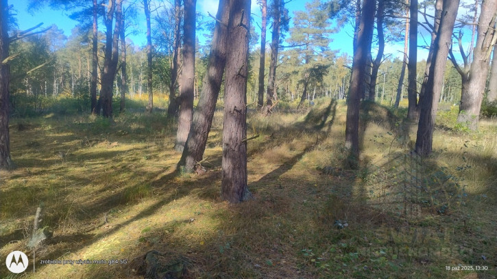 Działka Sprzedaż Dziwnów 1