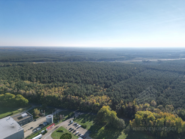 Działka Sprzedaż Łozienica 5