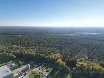 Działka Sprzedaż Łozienica