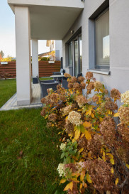 Mieszkanie Sprzedaż Szczecin Osów Gwiazdy Polarnej