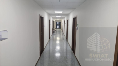 Lokal Wynajem Szczecin Centrum
