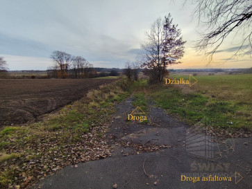 Działka Sprzedaż Wojcieszyn