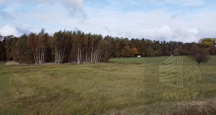Działka Sprzedaż Chrząstowo 1