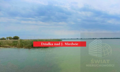 Działka Sprzedaż Wierzbno